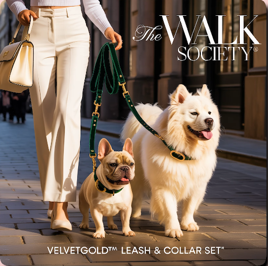 The Walk Society