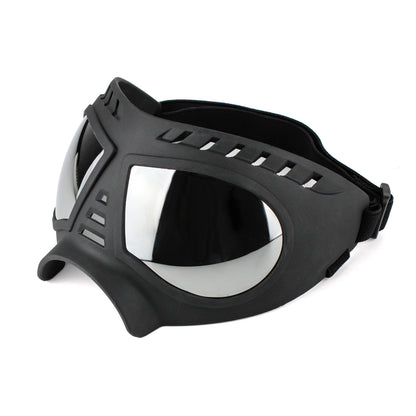 Cool Dog, Cool Shades  – Protective Sunglasses for Your Pup