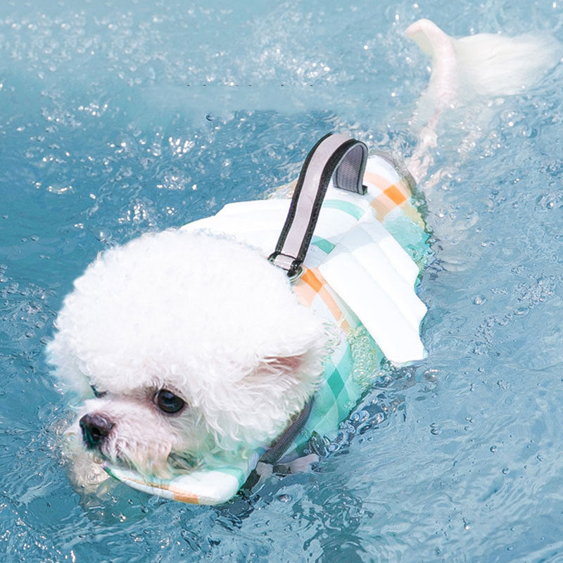Splash Safely: The Ultimate 'Paw-some' Life Vest for Your Furry Bestie!