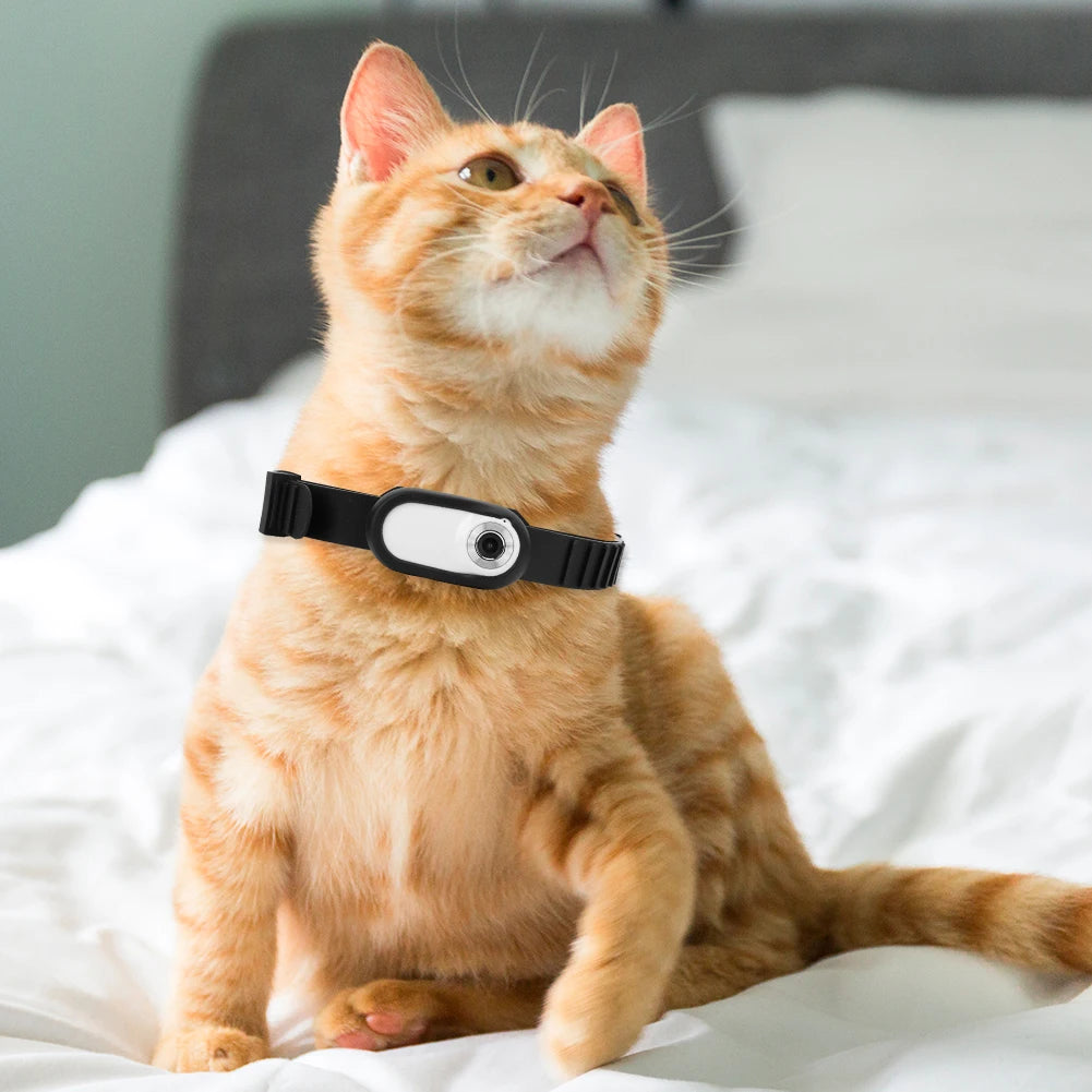 Pet POV Collar Camera 1080P HD – 160° Ultra Wide Angle, Built-in LCD Screen, 32GB Storage, Lightweight Mini Camera for Cats & Dogs