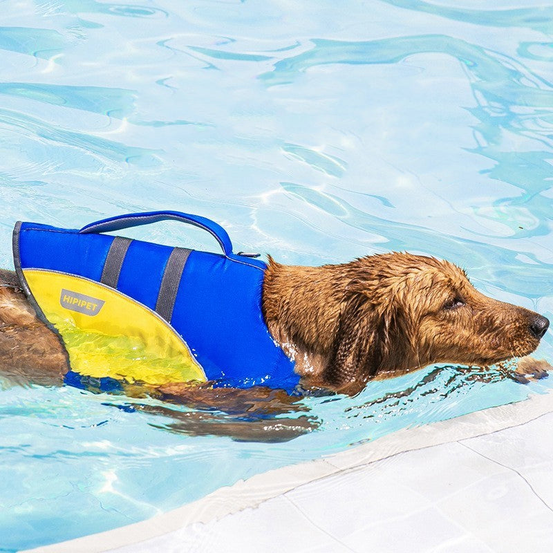 Splash Safely: The Ultimate 'Paw-some' Life Vest for Your Furry Bestie!