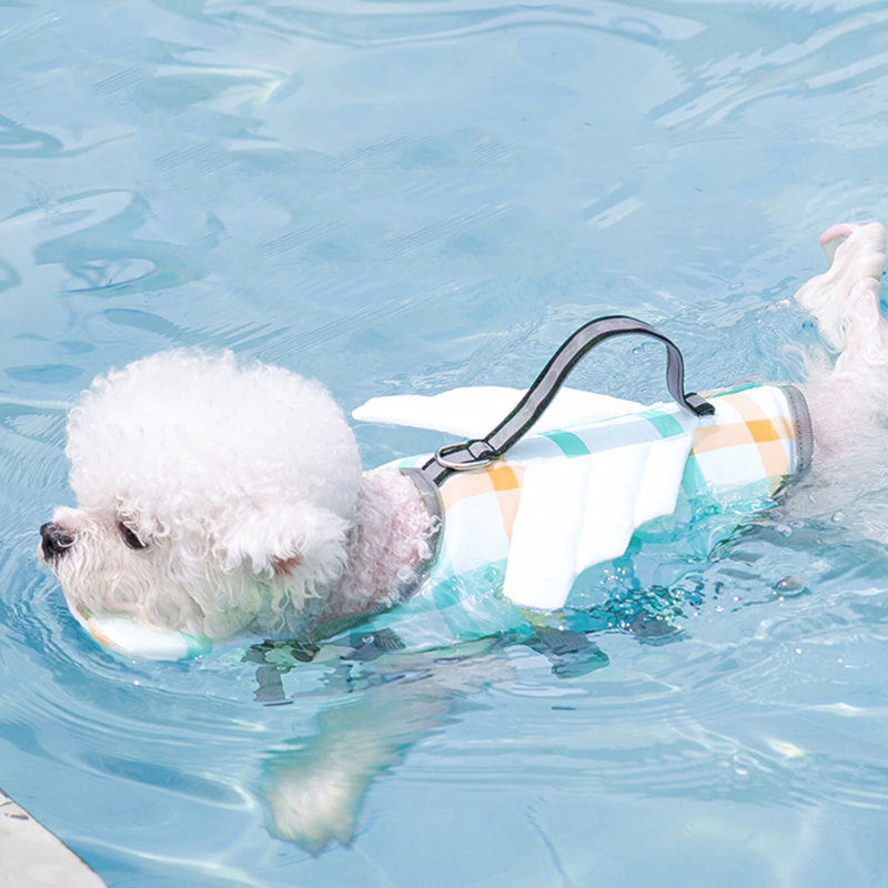 Splash Safely: The Ultimate 'Paw-some' Life Vest for Your Furry Bestie!
