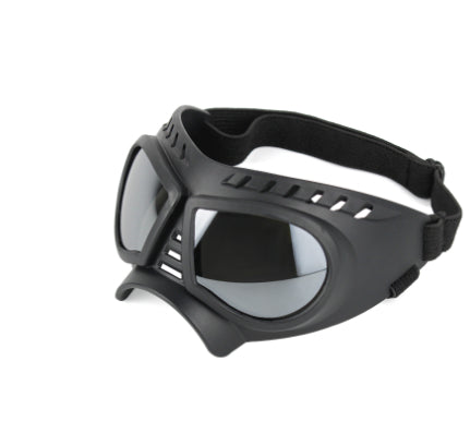 Cool Dog, Cool Shades  – Protective Sunglasses for Your Pup