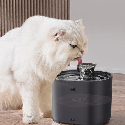 Fresh Sips Only! The Ultimate Ultra-Quiet Automatic Cat Fountain