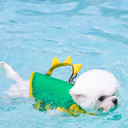 Splash Safely: The Ultimate 'Paw-some' Life Vest for Your Furry Bestie!