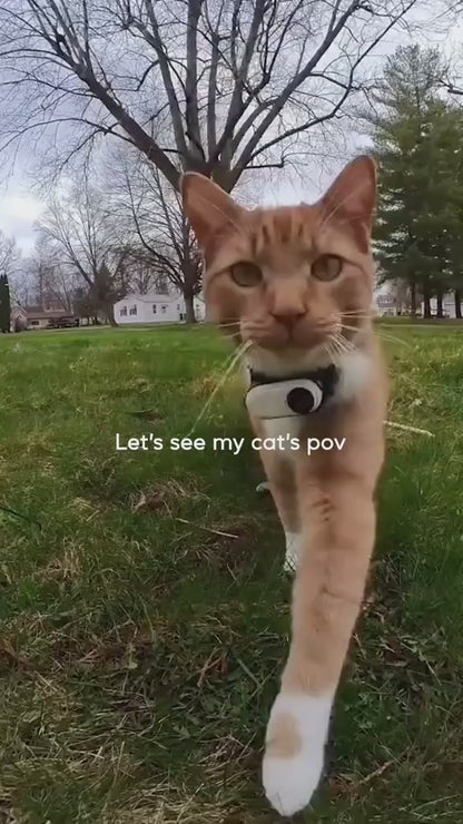 Pet POV Collar Camera 1080P HD – 160° Ultra Wide Angle, Built-in LCD Screen, 32GB Storage, Lightweight Mini Camera for Cats & Dogs