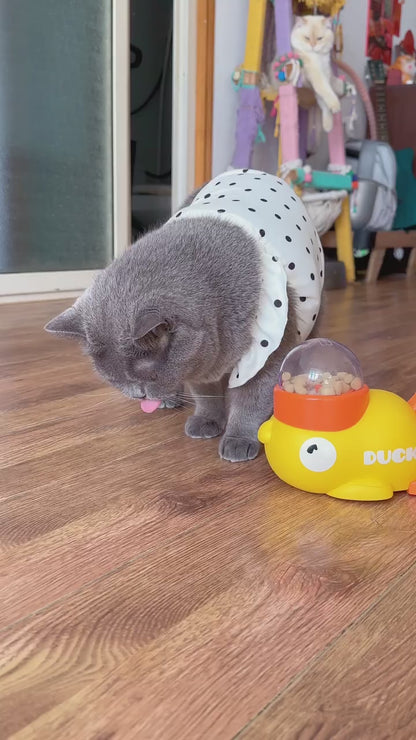 Quacky Treat Dispenser for Cats